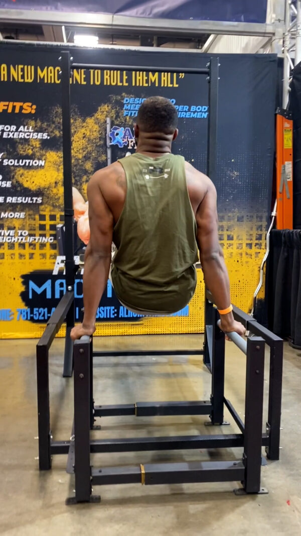 Pushups- Rack- Dip Station - Image 11